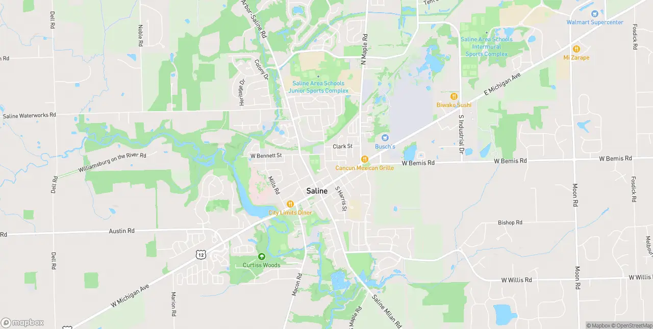 Internet in Saline