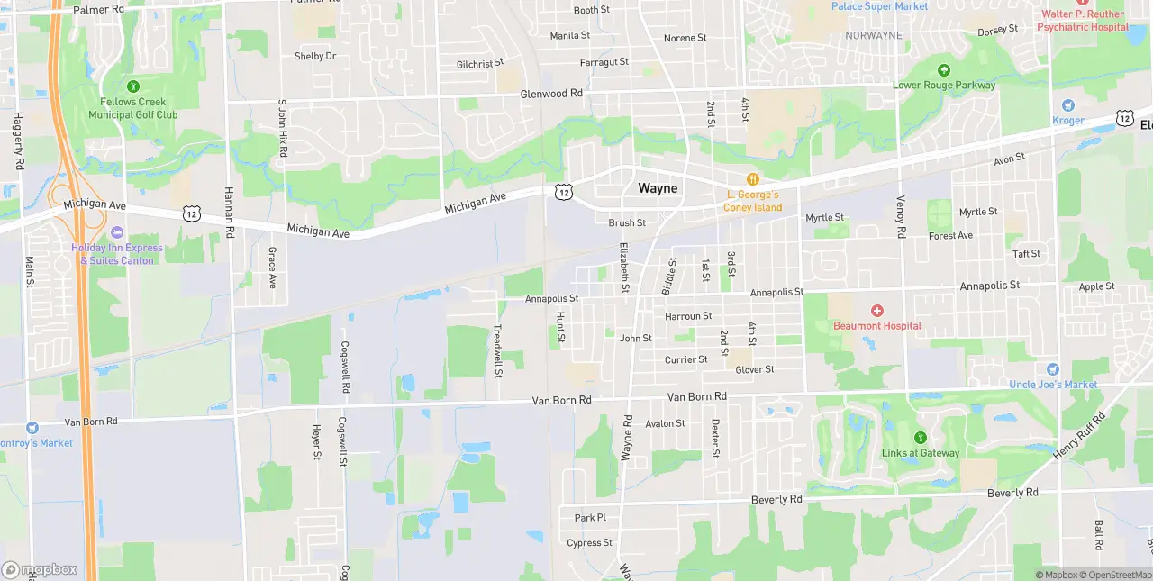 Internet in Wayne