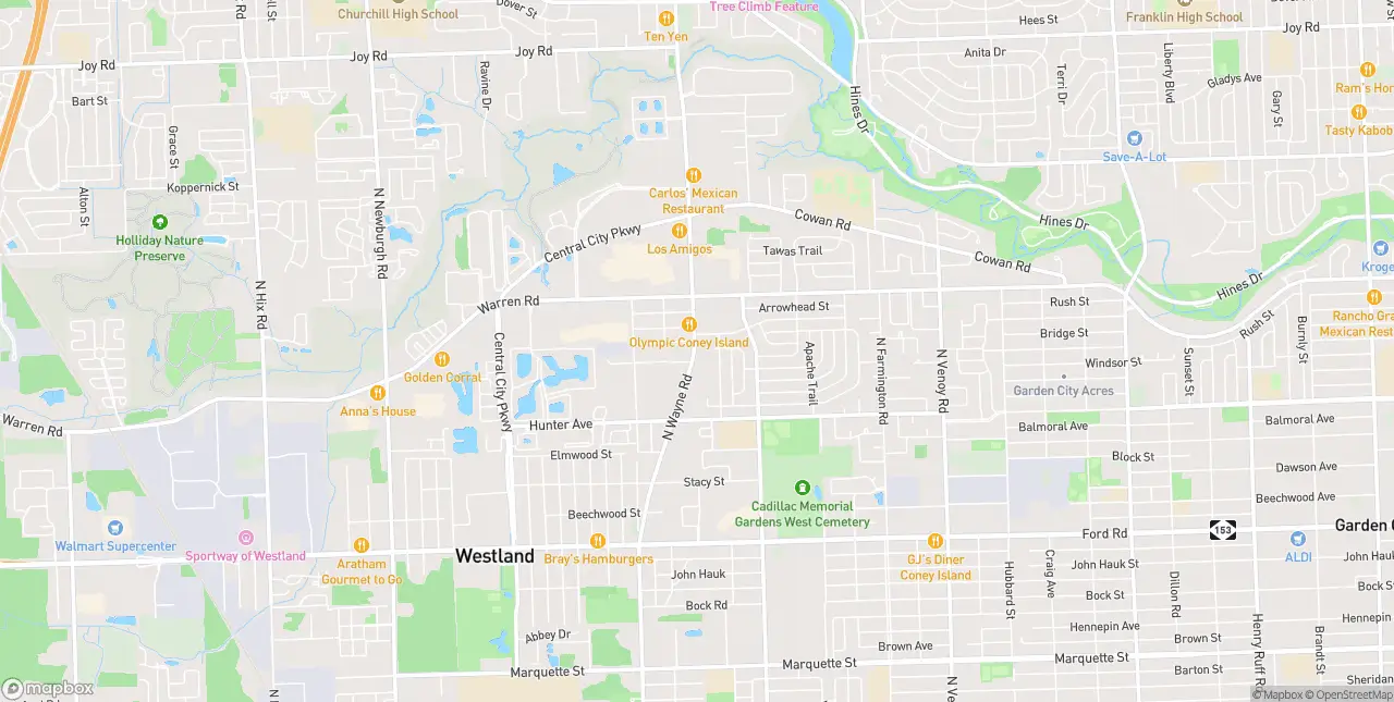 Internet in Westland