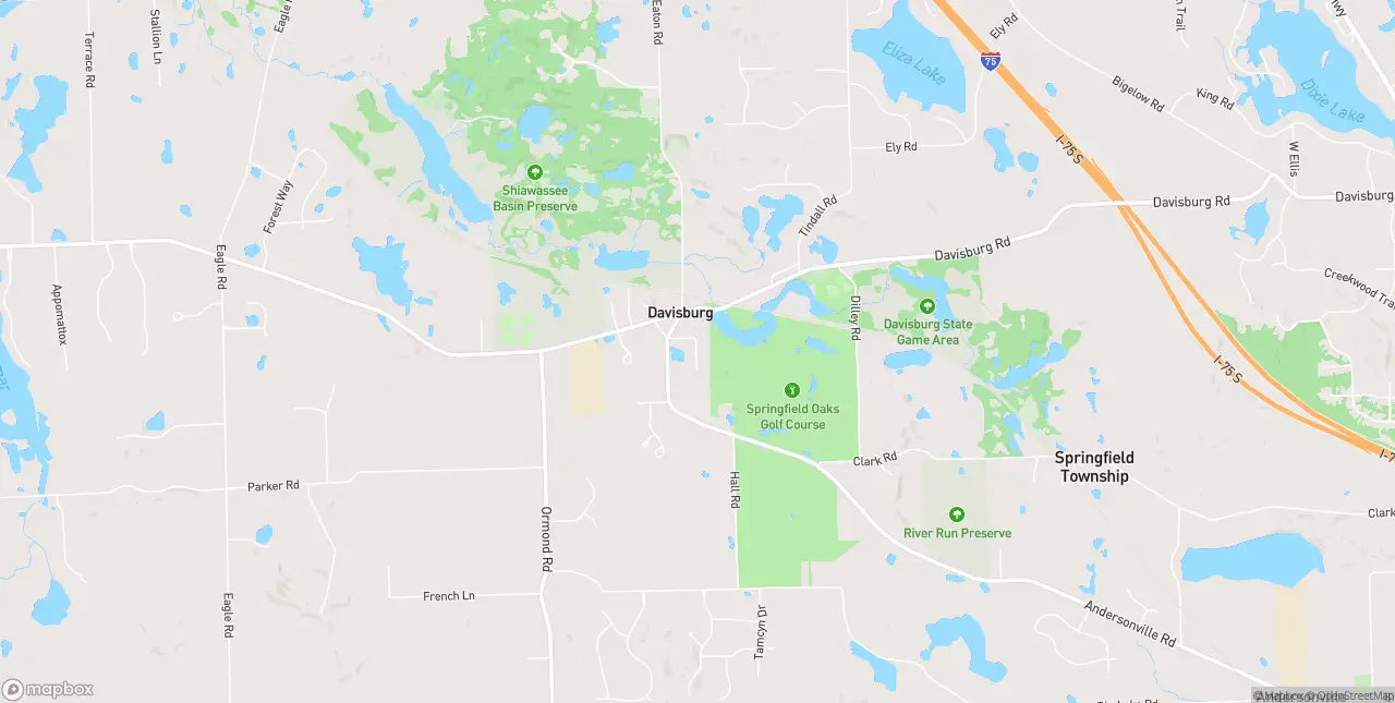 Internet in Davisburg