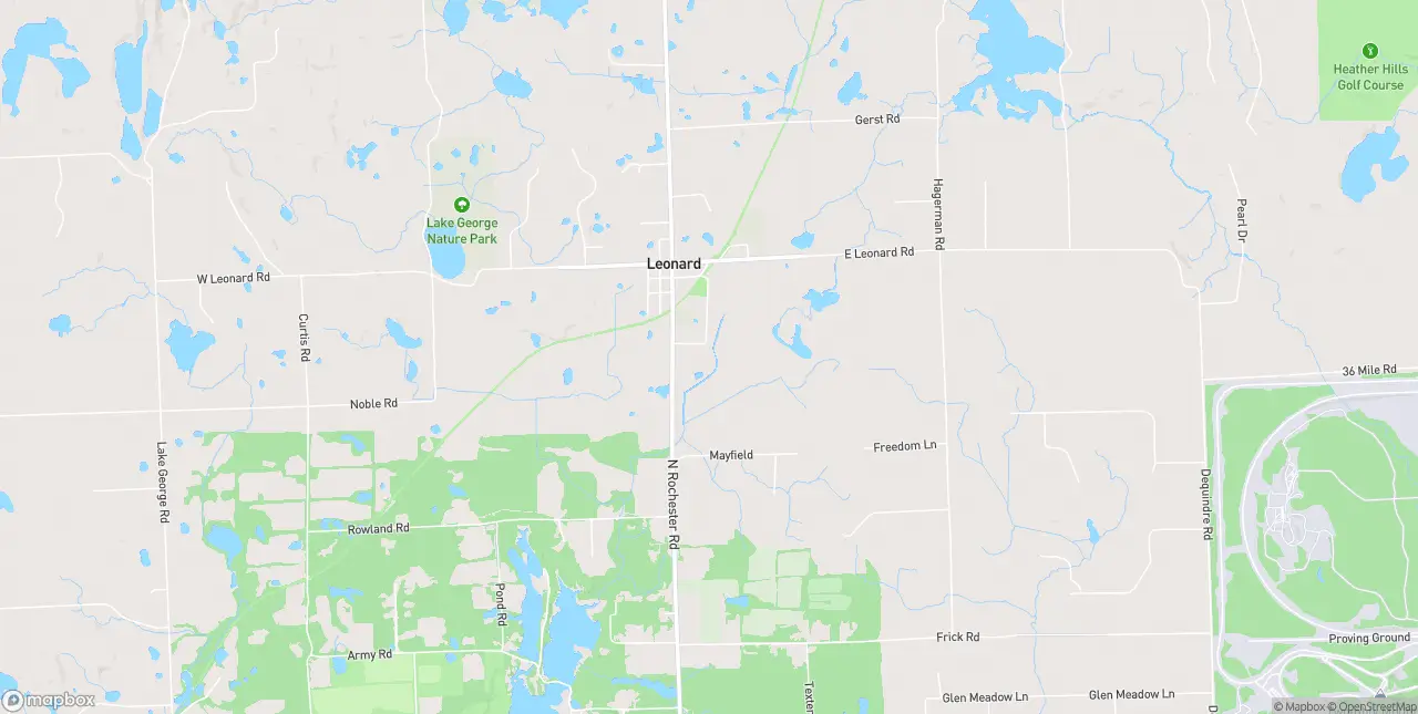Internet in Leonard