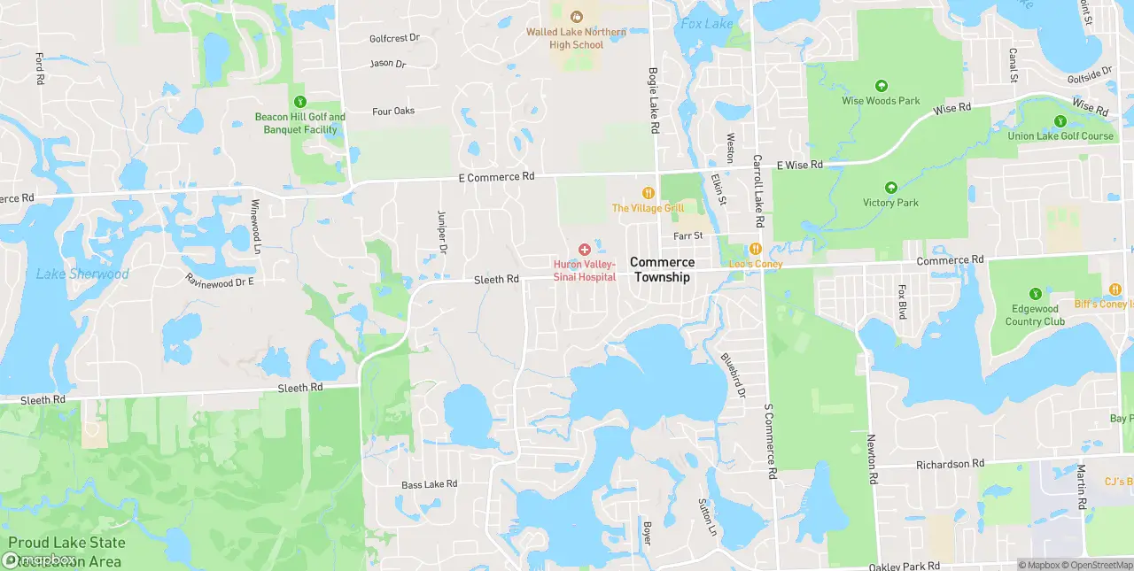 Internet in Commerce Township