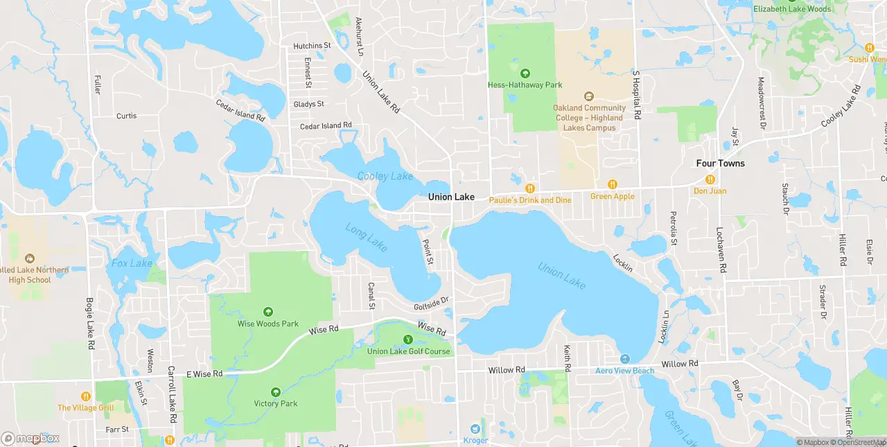 Internet in Union Lake