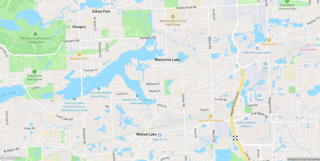 Internet in Walled Lake