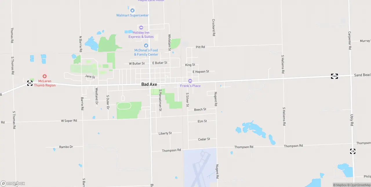Internet in Bad Axe