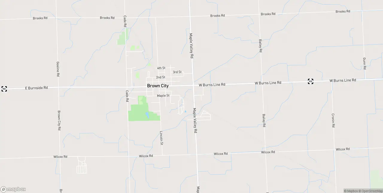 Internet in Brown City
