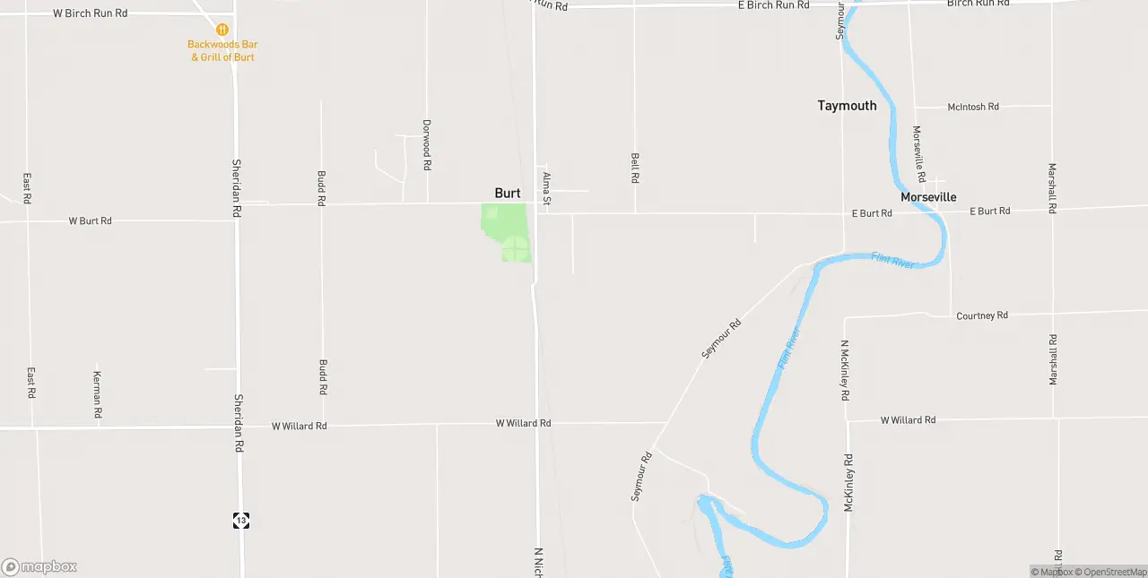 Internet in Burt