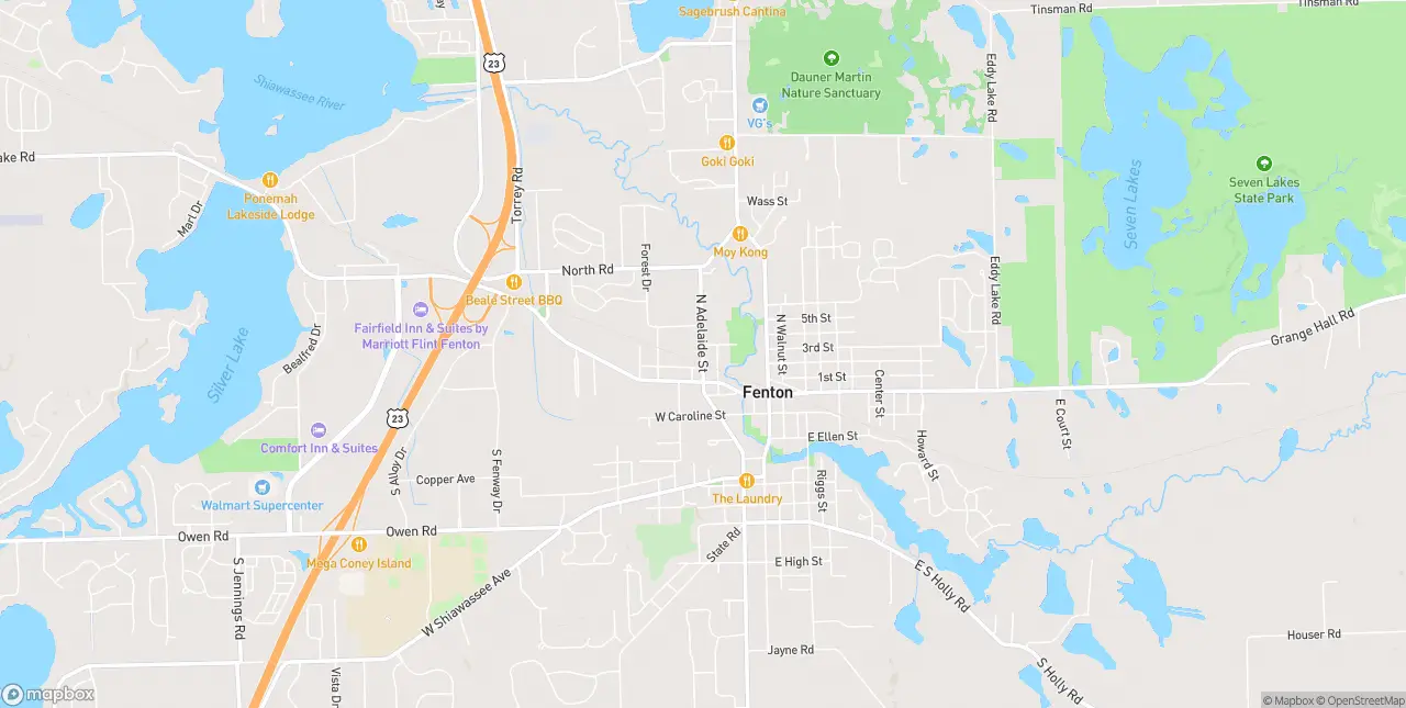 Internet in Fenton