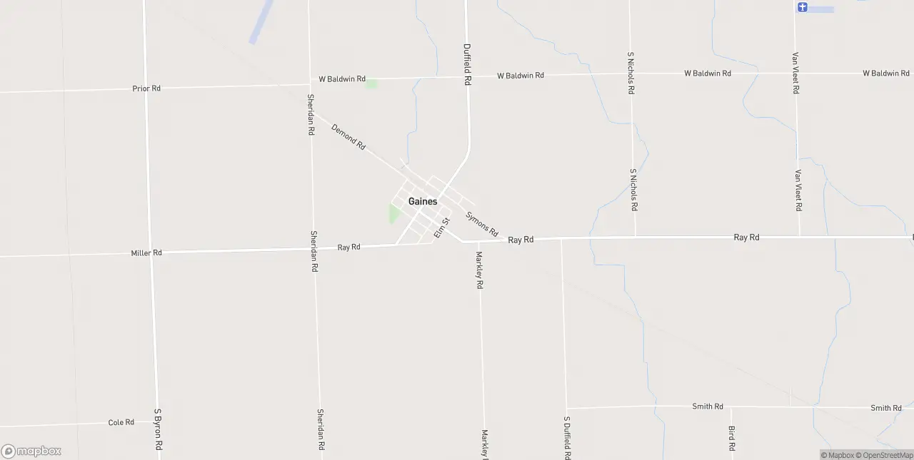 Internet in Gaines