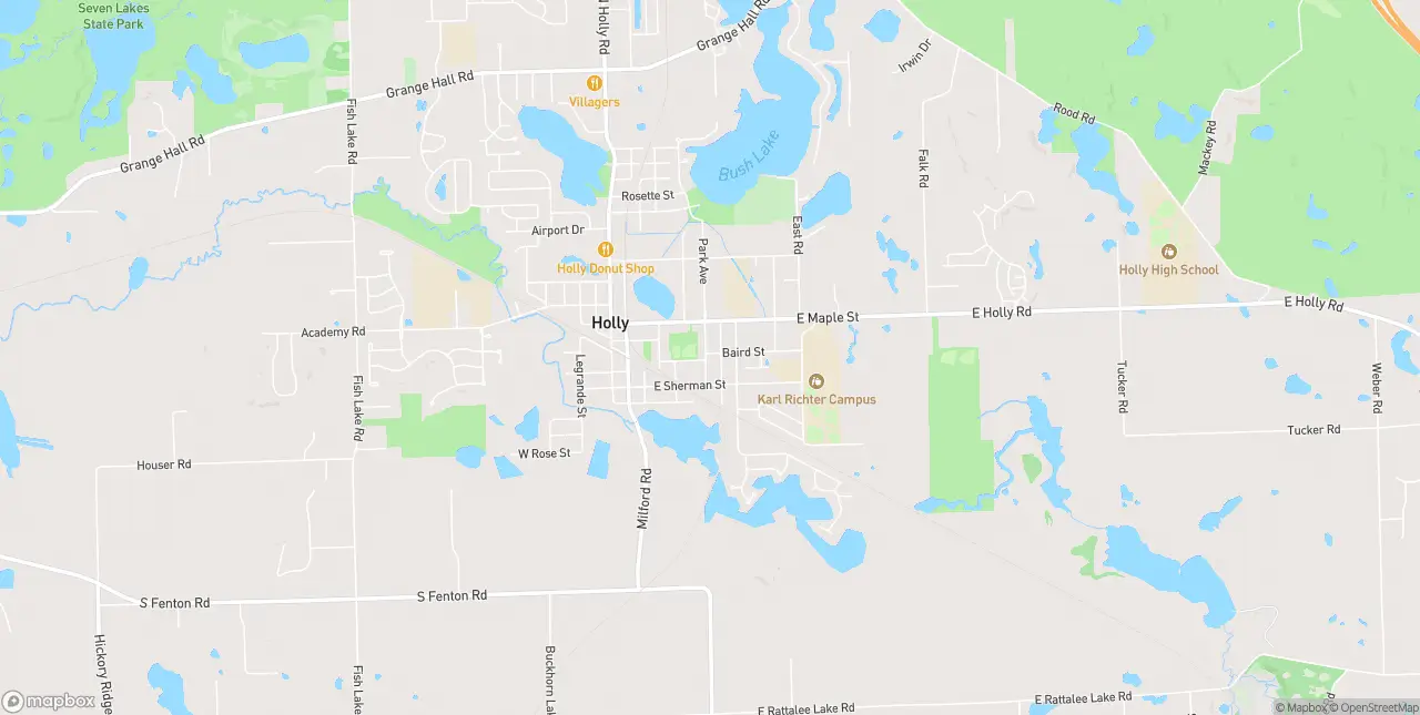 Internet in Holly