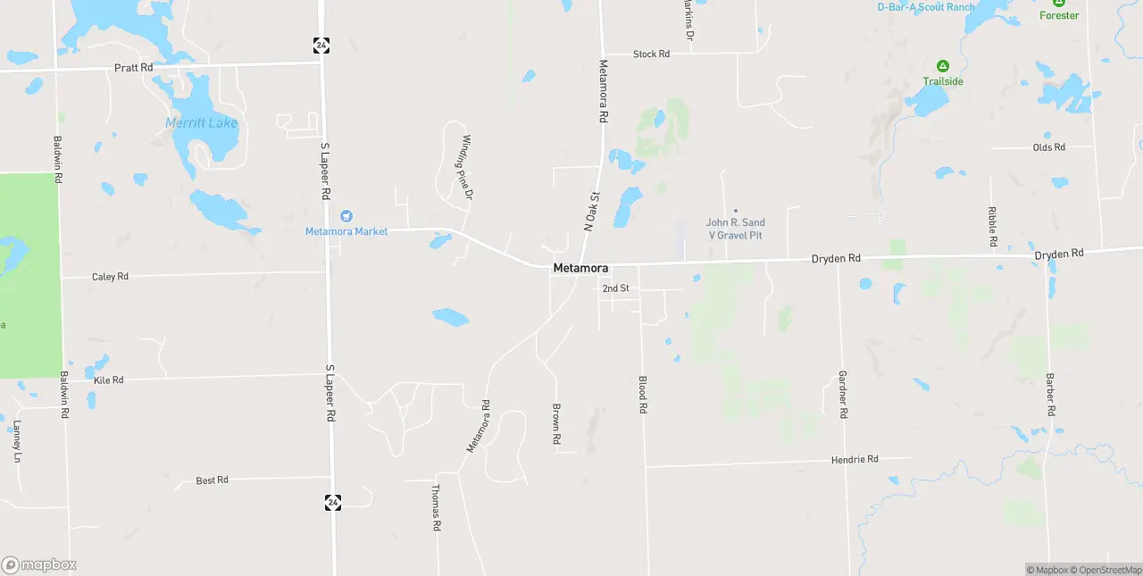 Internet in Metamora