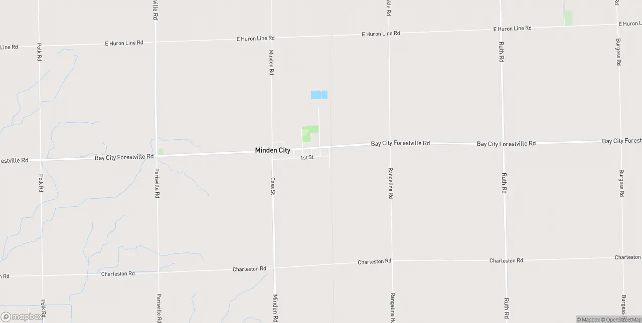 Internet in Minden City