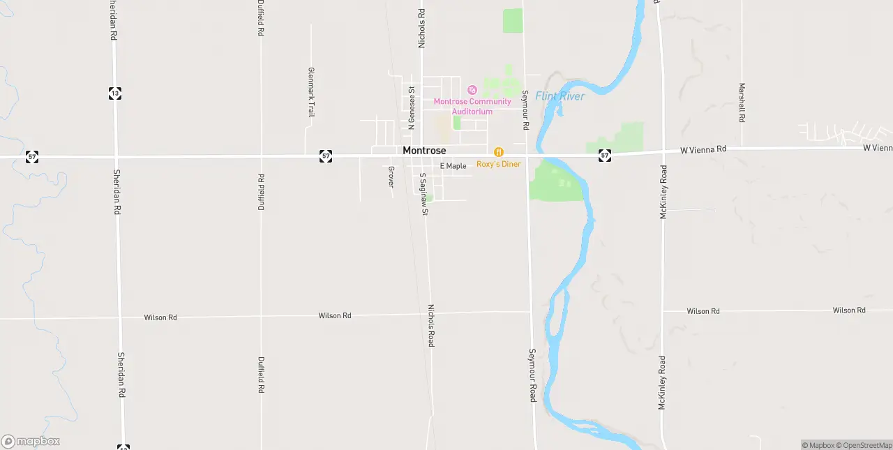 Internet in Montrose