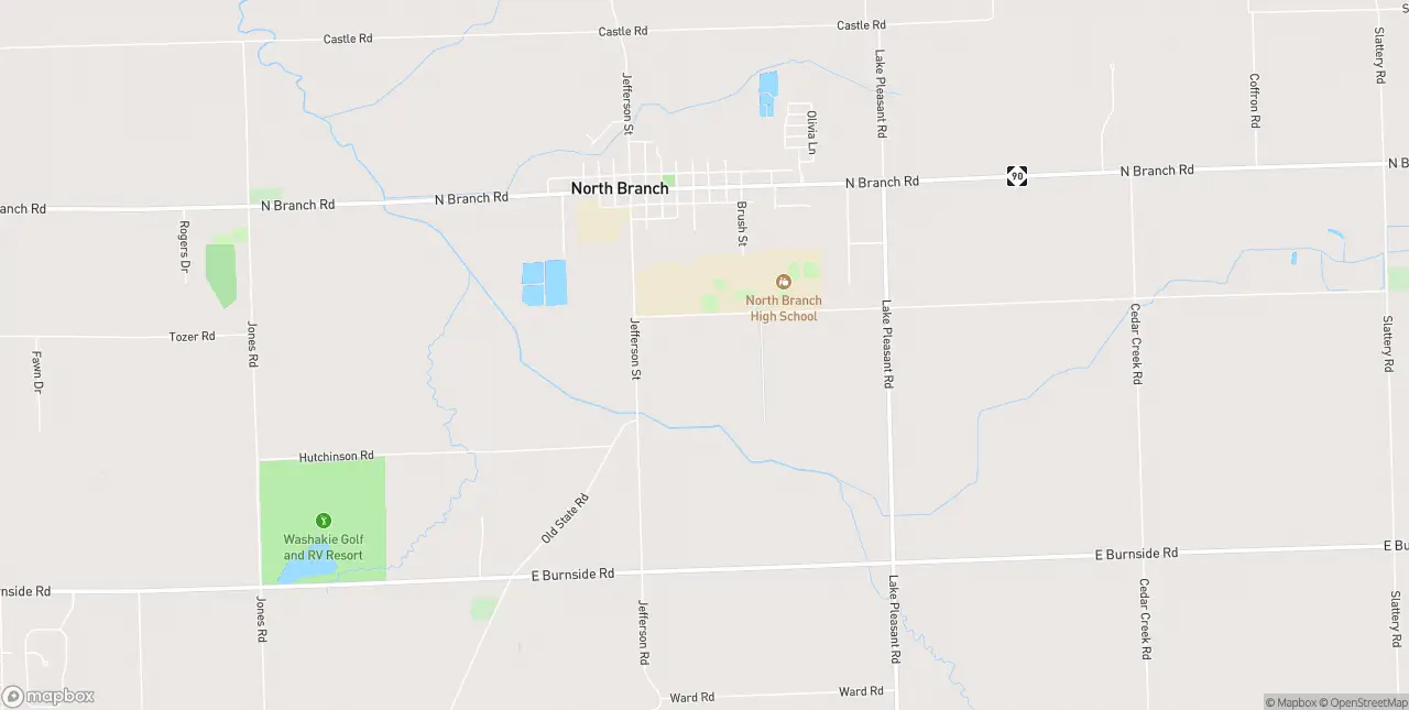 Internet in North Branch
