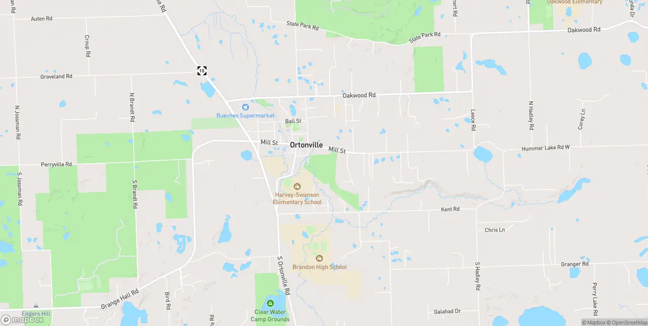 Internet in Ortonville