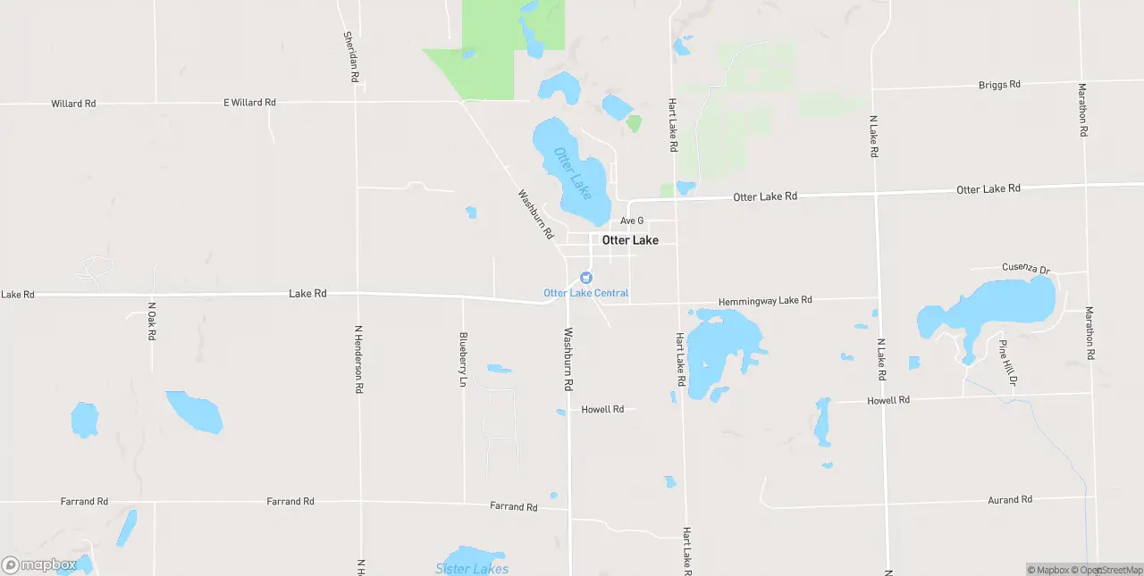Internet in Otter Lake