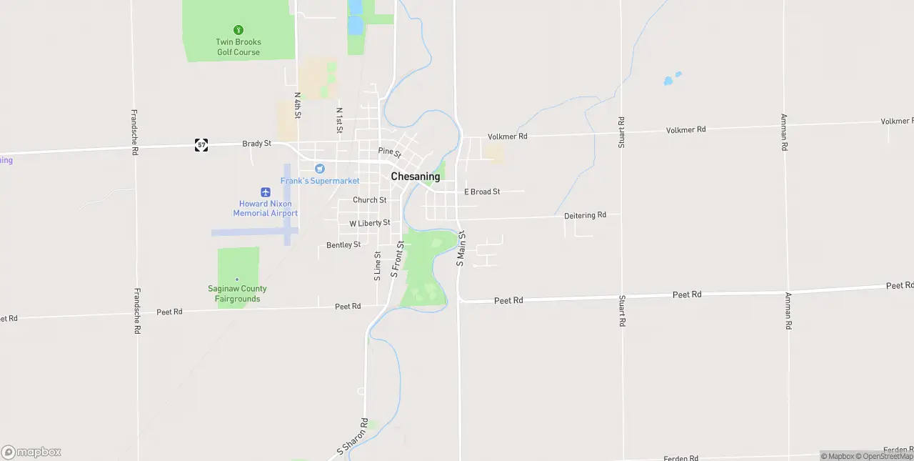 Internet in Chesaning