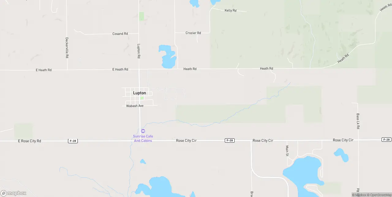 Internet in Lupton