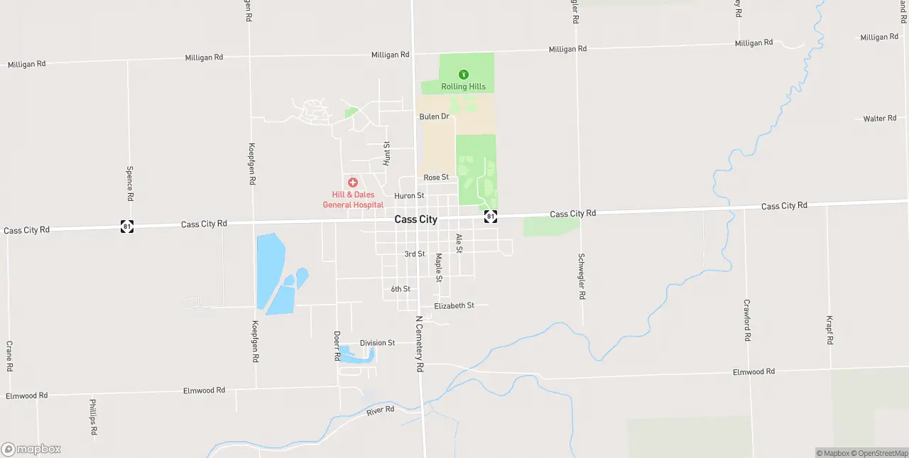 Internet in Cass City