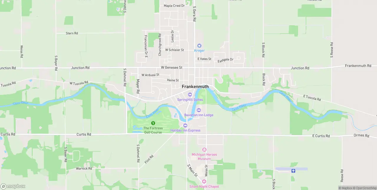 Internet in Frankenmuth