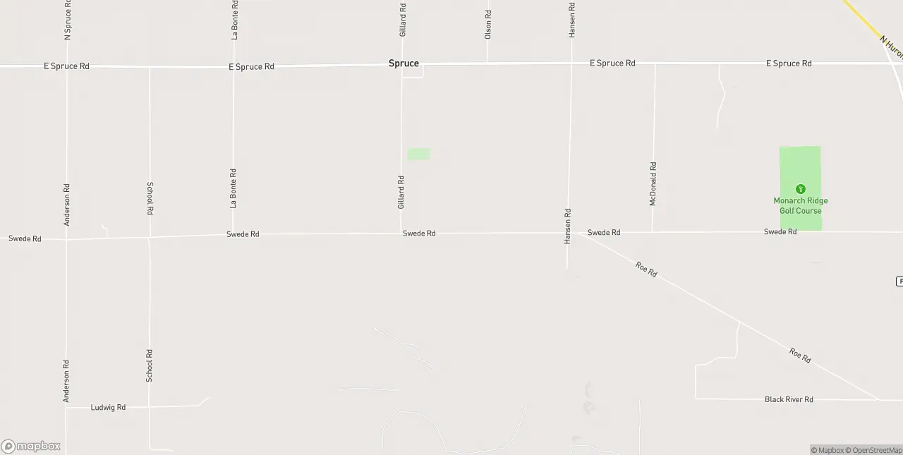 Internet in Spruce