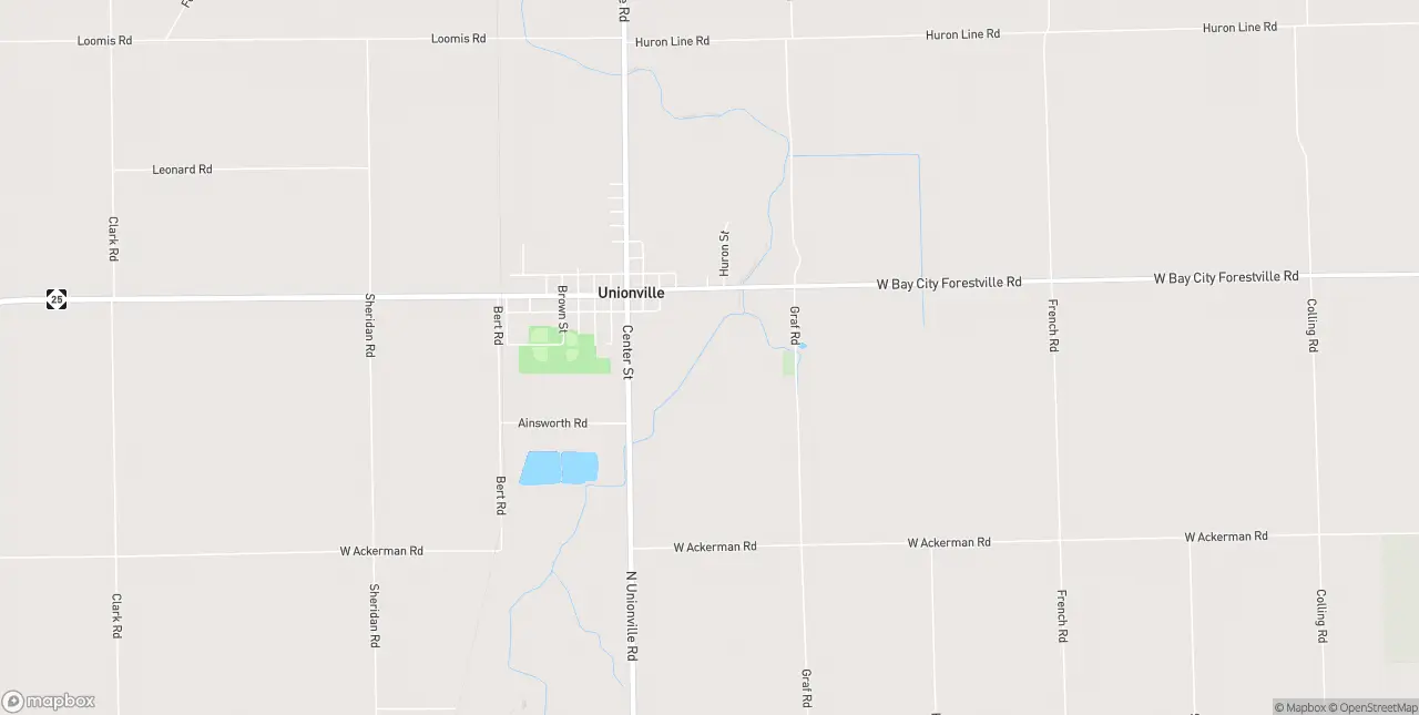 Internet in Unionville