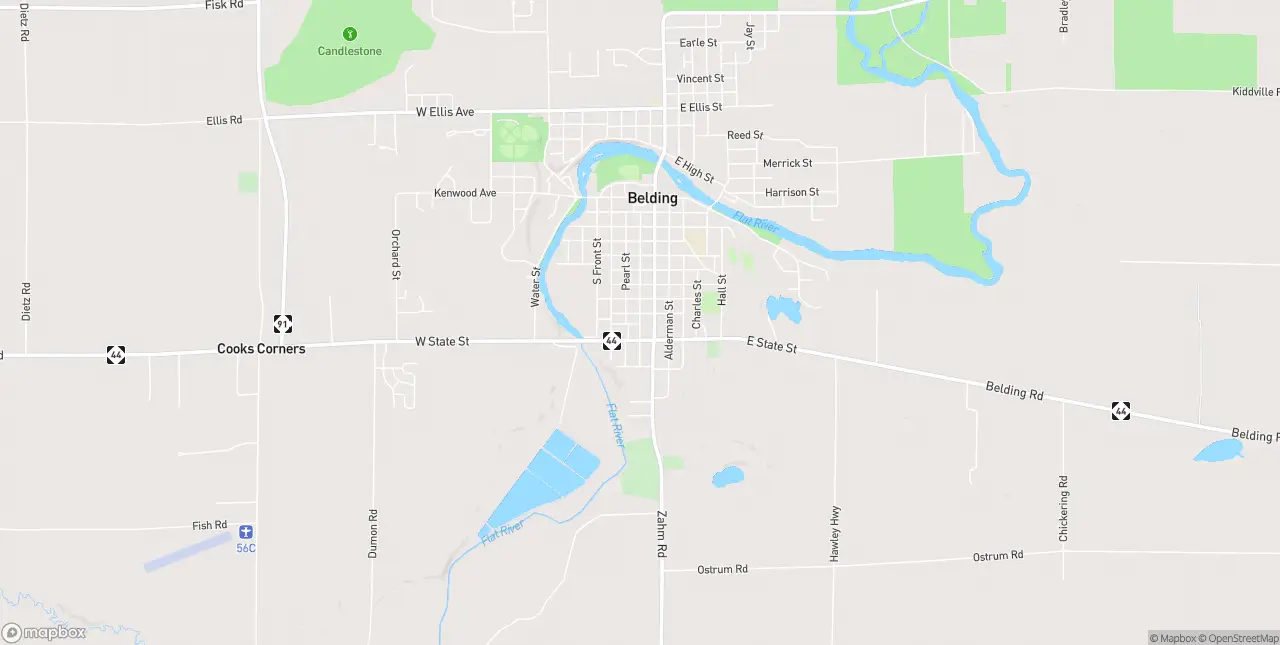Internet in Belding