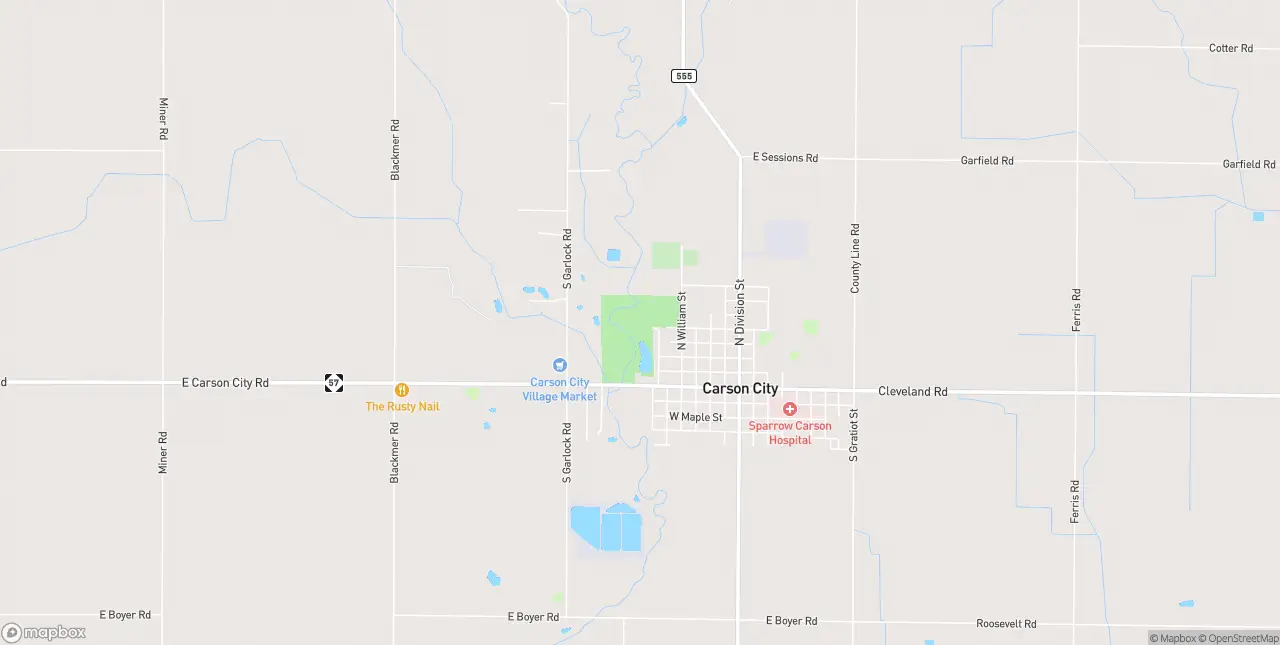 Internet in Carson City