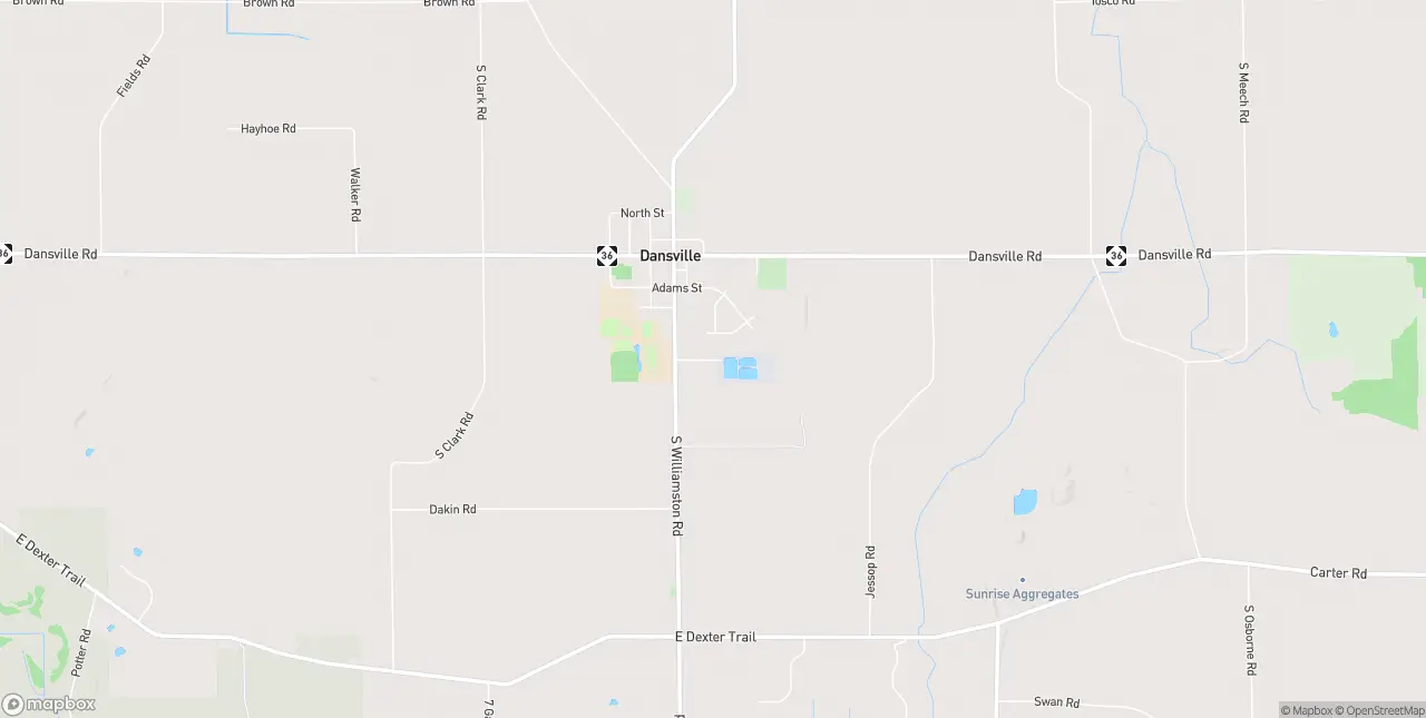Internet in Dansville
