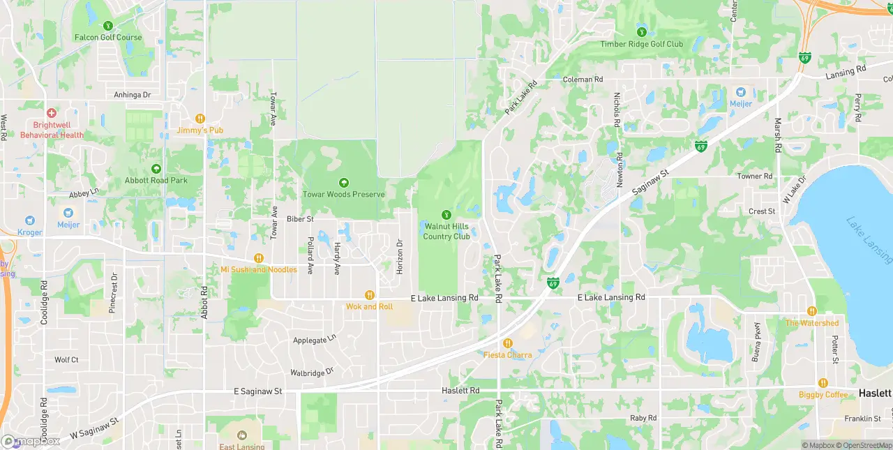 Internet in East Lansing