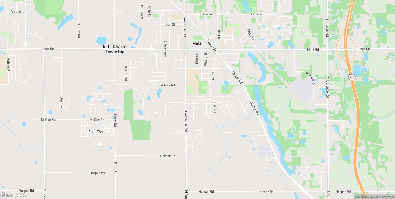 Internet in Holt