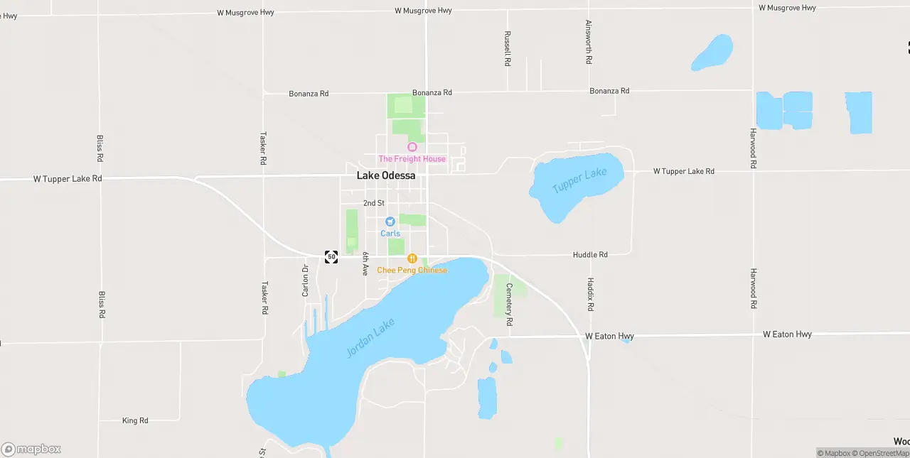 Internet in Lake Odessa