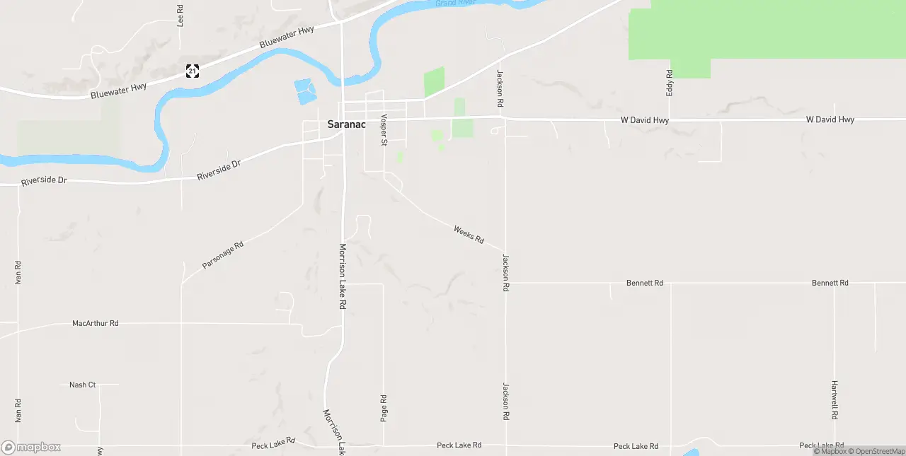 Internet in Saranac