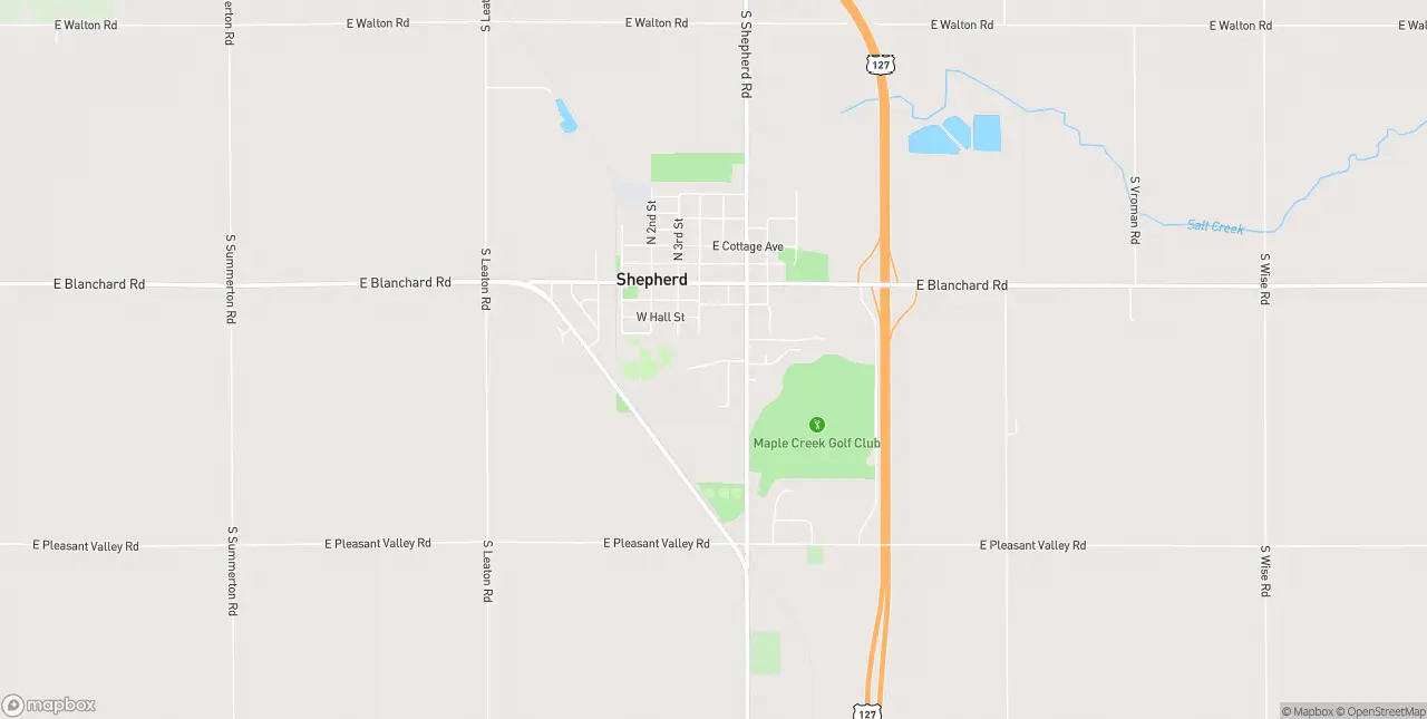 Internet in Shepherd