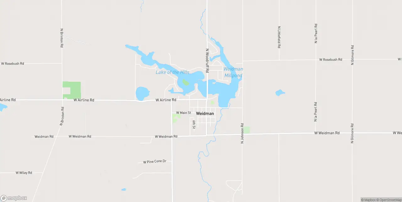 Internet in Weidman