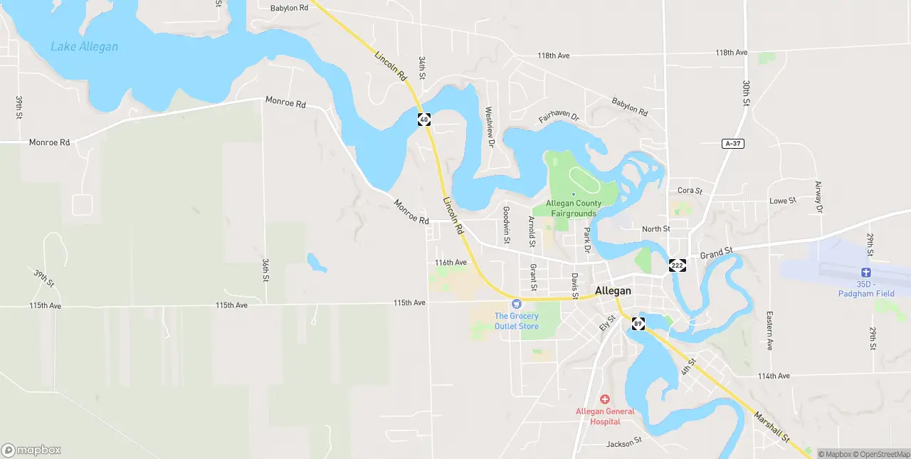 Internet in Allegan
