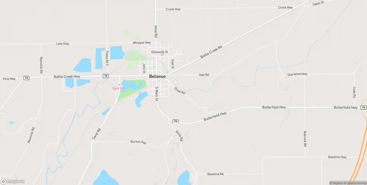Internet in Bellevue