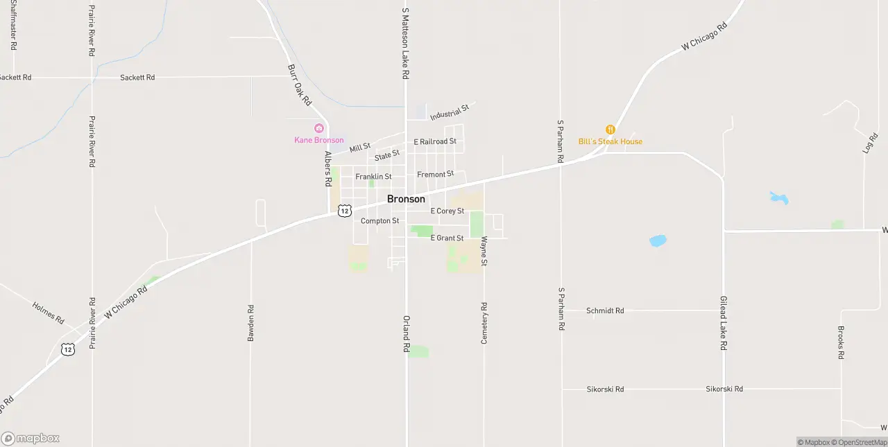 Internet in Bronson