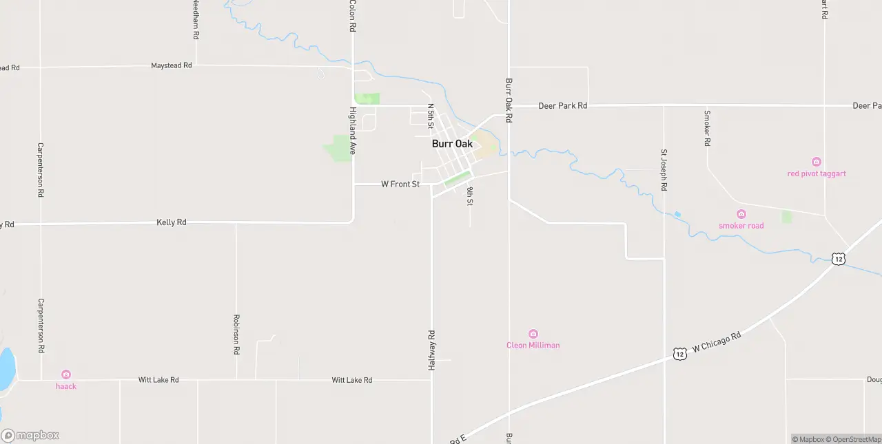 Internet in Burr Oak