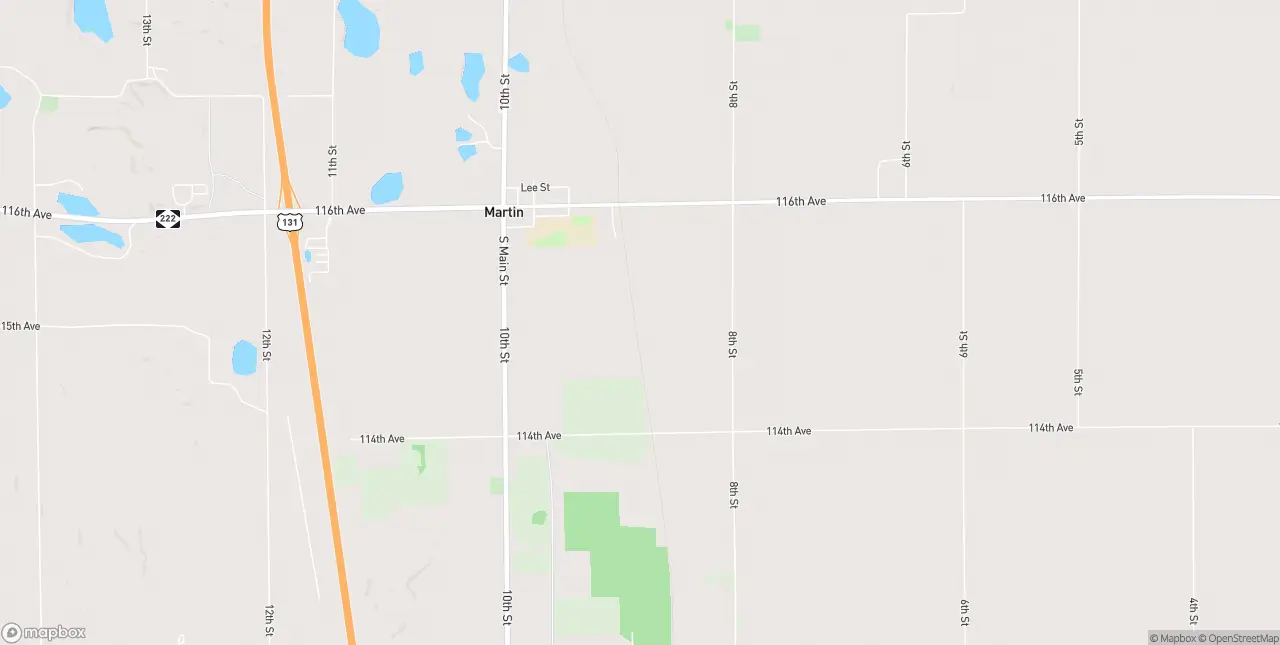 Internet in Martin