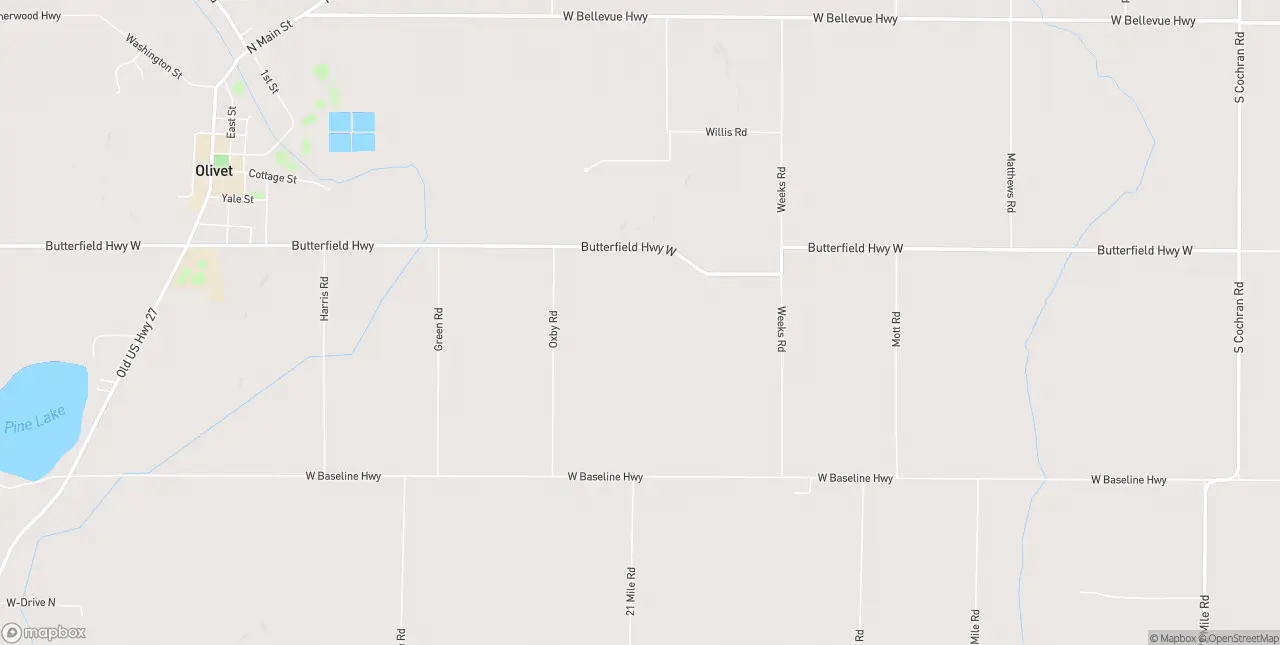 Internet in Olivet