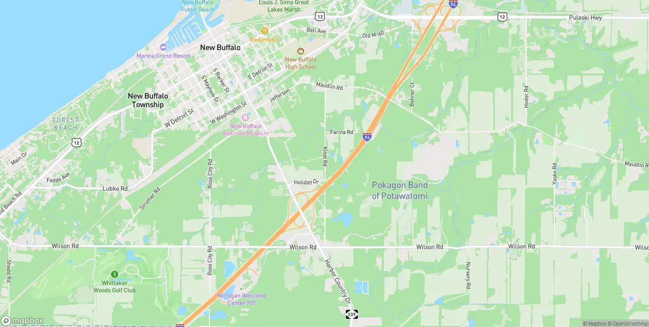 Internet in New Buffalo