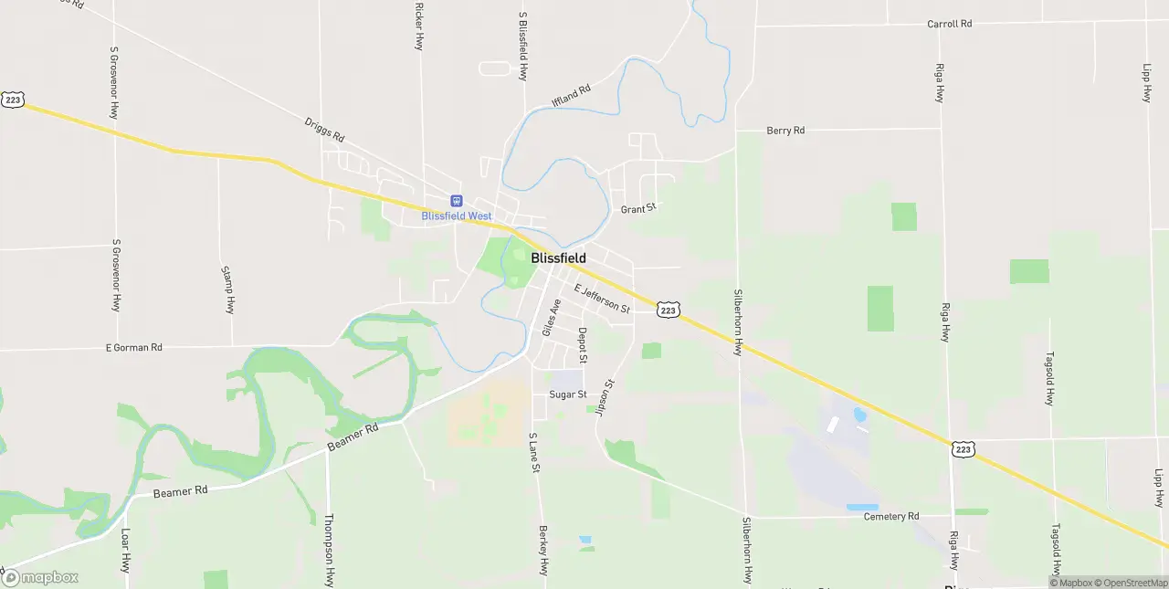 Internet in Blissfield