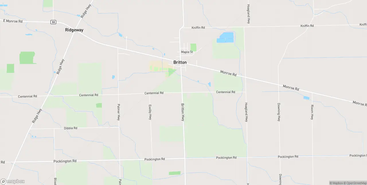 Internet in Britton
