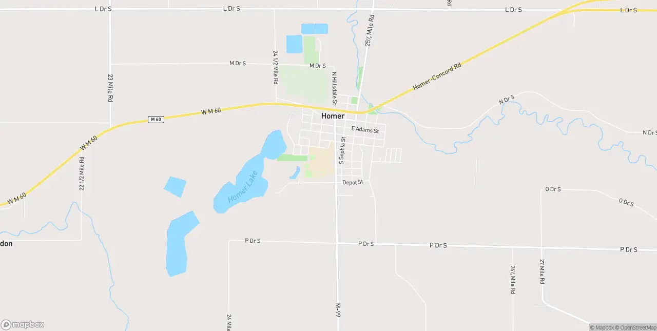 Internet in Homer