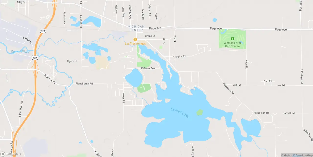 Internet in Michigan Center
