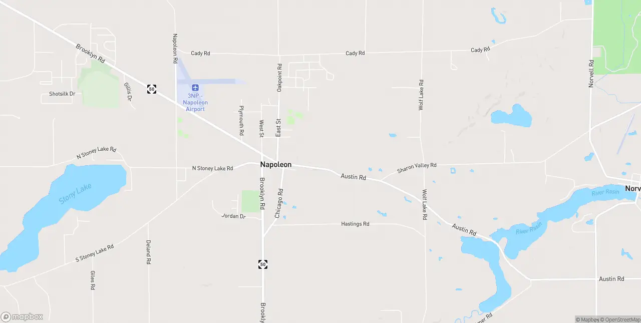 Internet in Napoleon