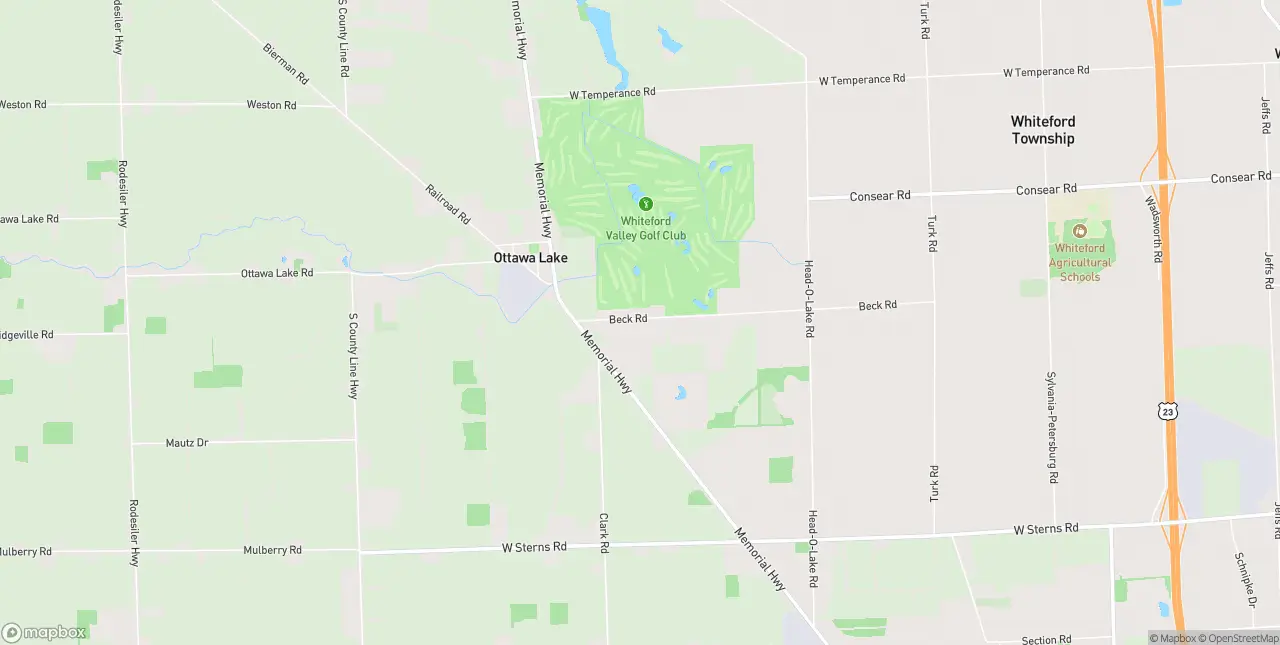 Internet in Ottawa Lake