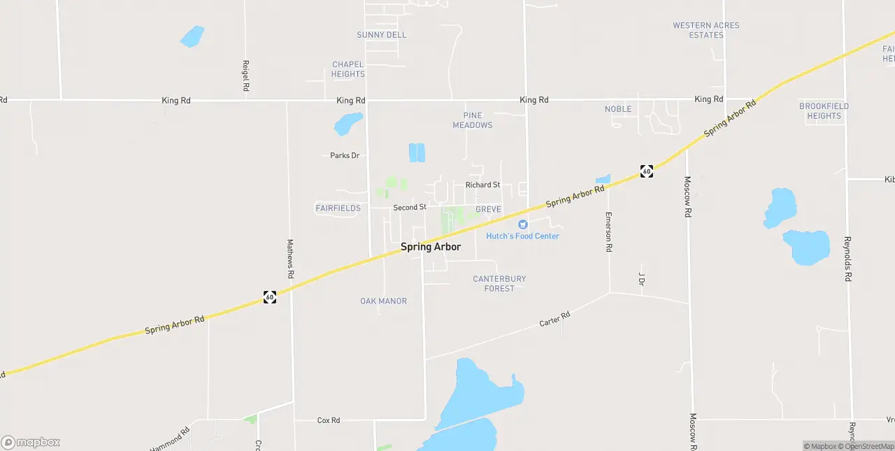 Internet in Spring Arbor