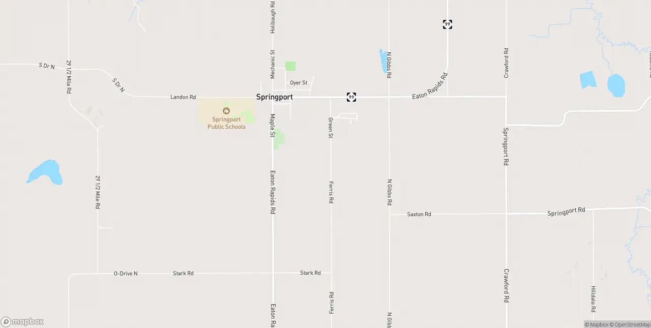 Internet in Springport